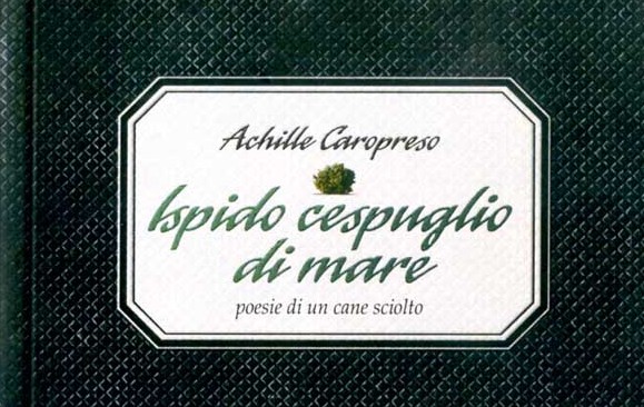 ISPIDO CESPUGLIO DI MARE