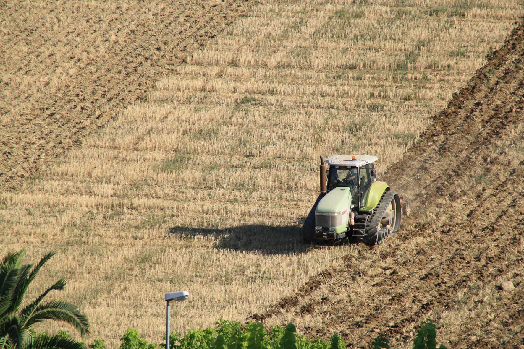 IL LAVORO OCCASIONALE ACCESSORIO