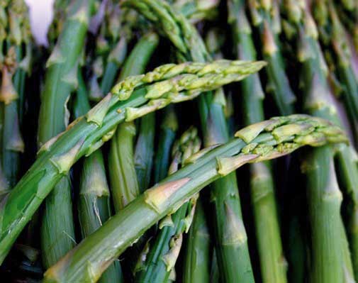 ASPARAGI