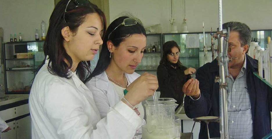 IL COLLOCAMENTO  PARTE DALLA SCUOLA