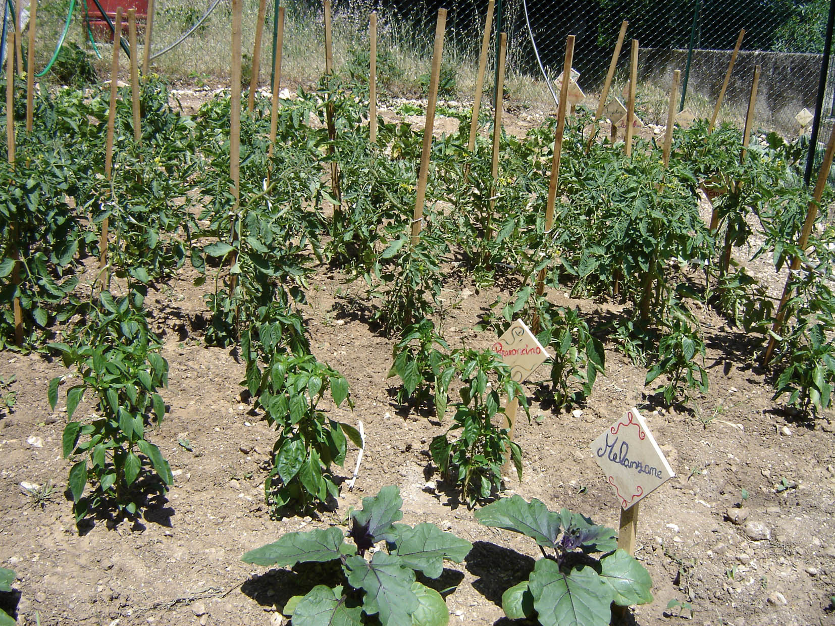A GIUGNO