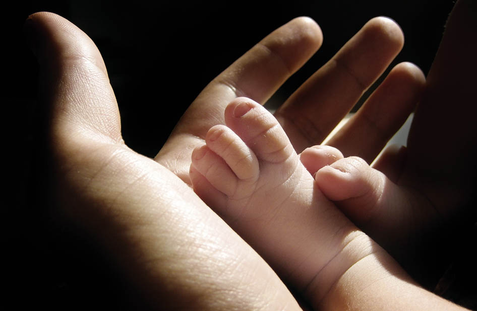 UNA FIRMA PER LA VITA