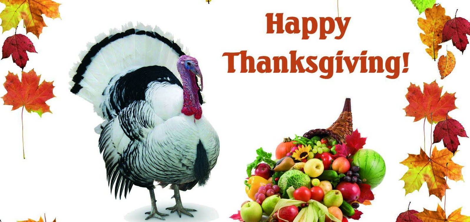 THANKSGIVING RECIPES