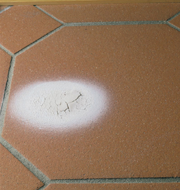 OLIO