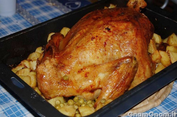 POLLO