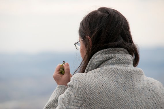 UNA “PUGNALATA” DA NOSTRA FIGLIA