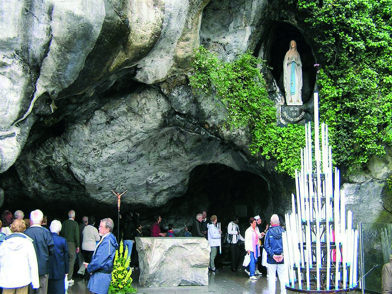 PERCHÉ SI MOLTIPLICANO LE SPECIE DI MADONNE?