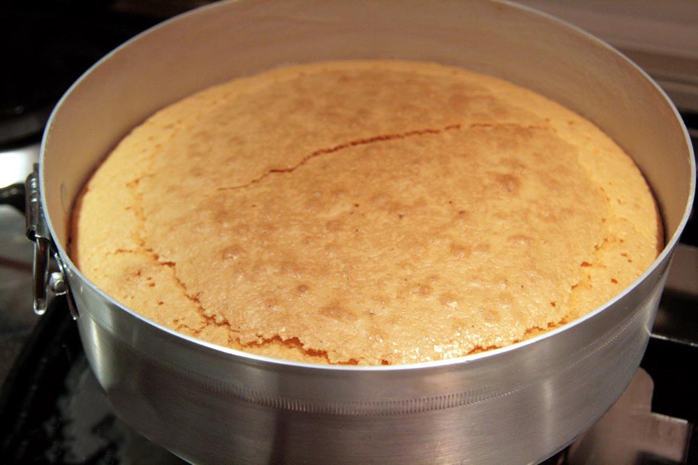 TORTA