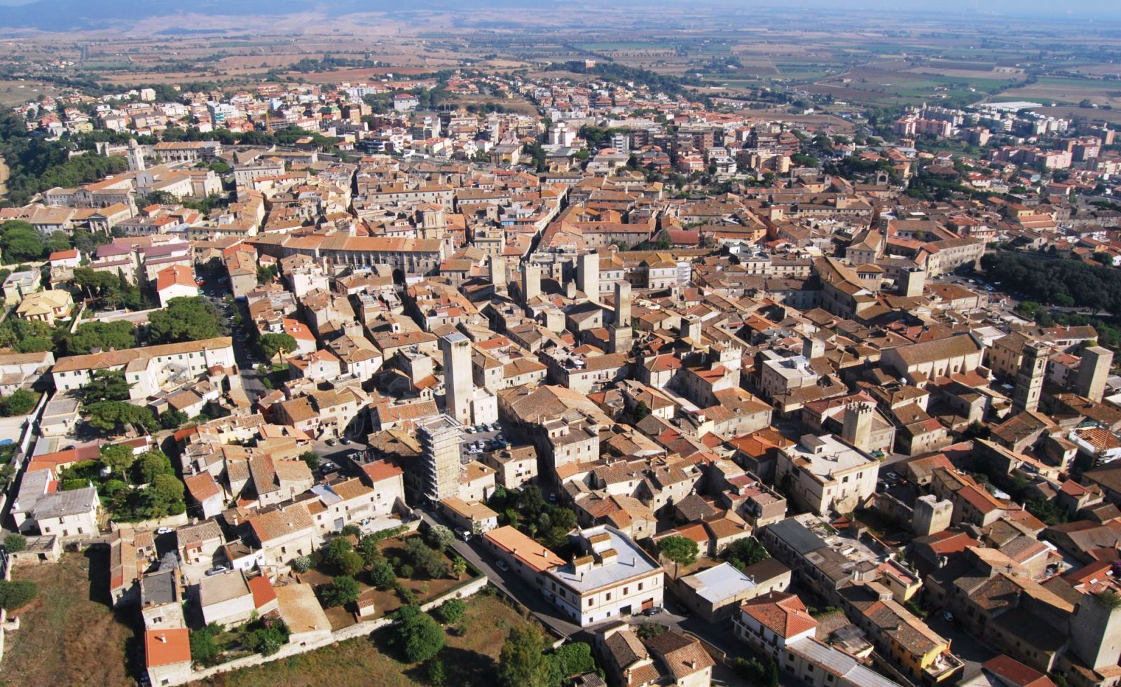 AMABILE GIOVANE carissimo a tutti