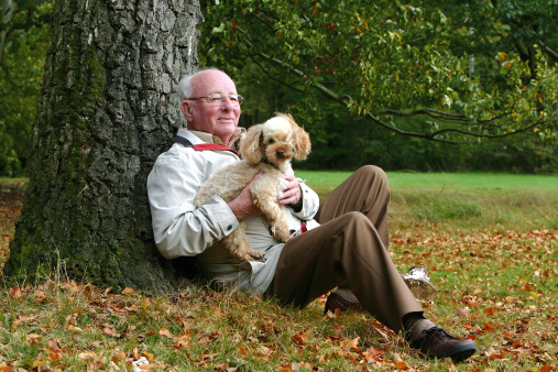 IL CANE, IL MIGLIOR AMICO DEGLI ANZIANI