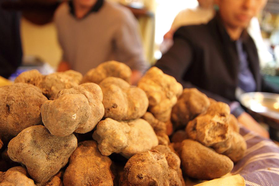 NON SOLO TARTUFO BIANCO…