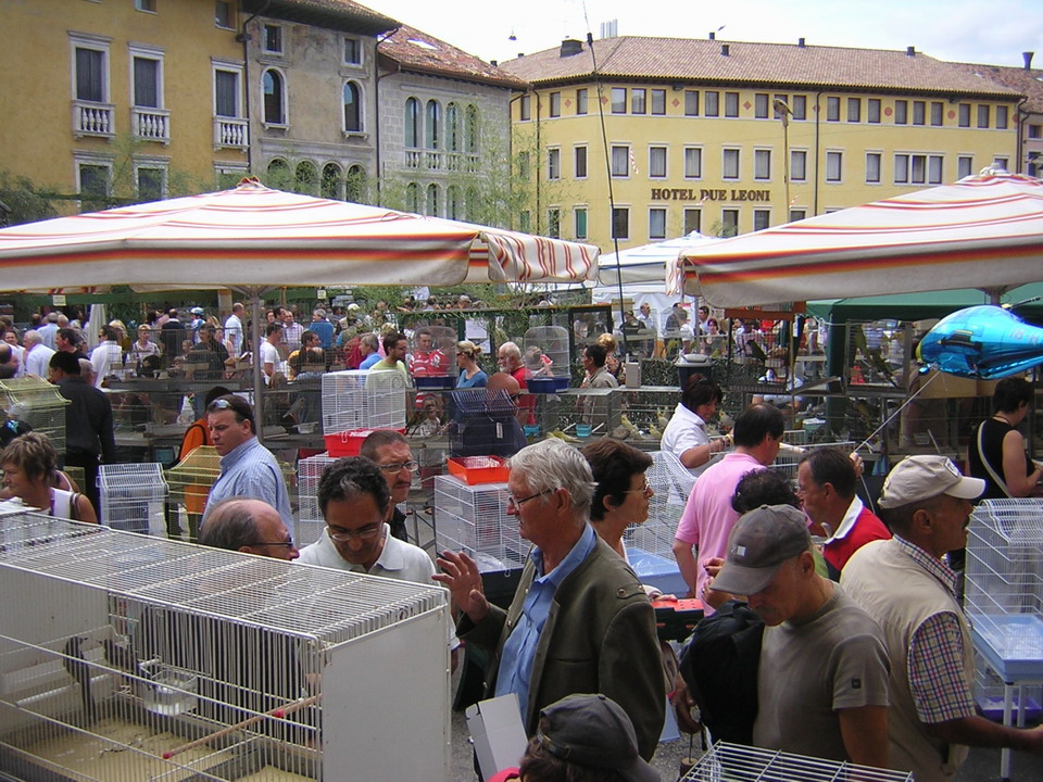 GARA CANORA PER UCCELLI