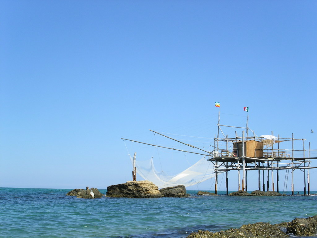 MISCELLANEA di  FINE ESTATE