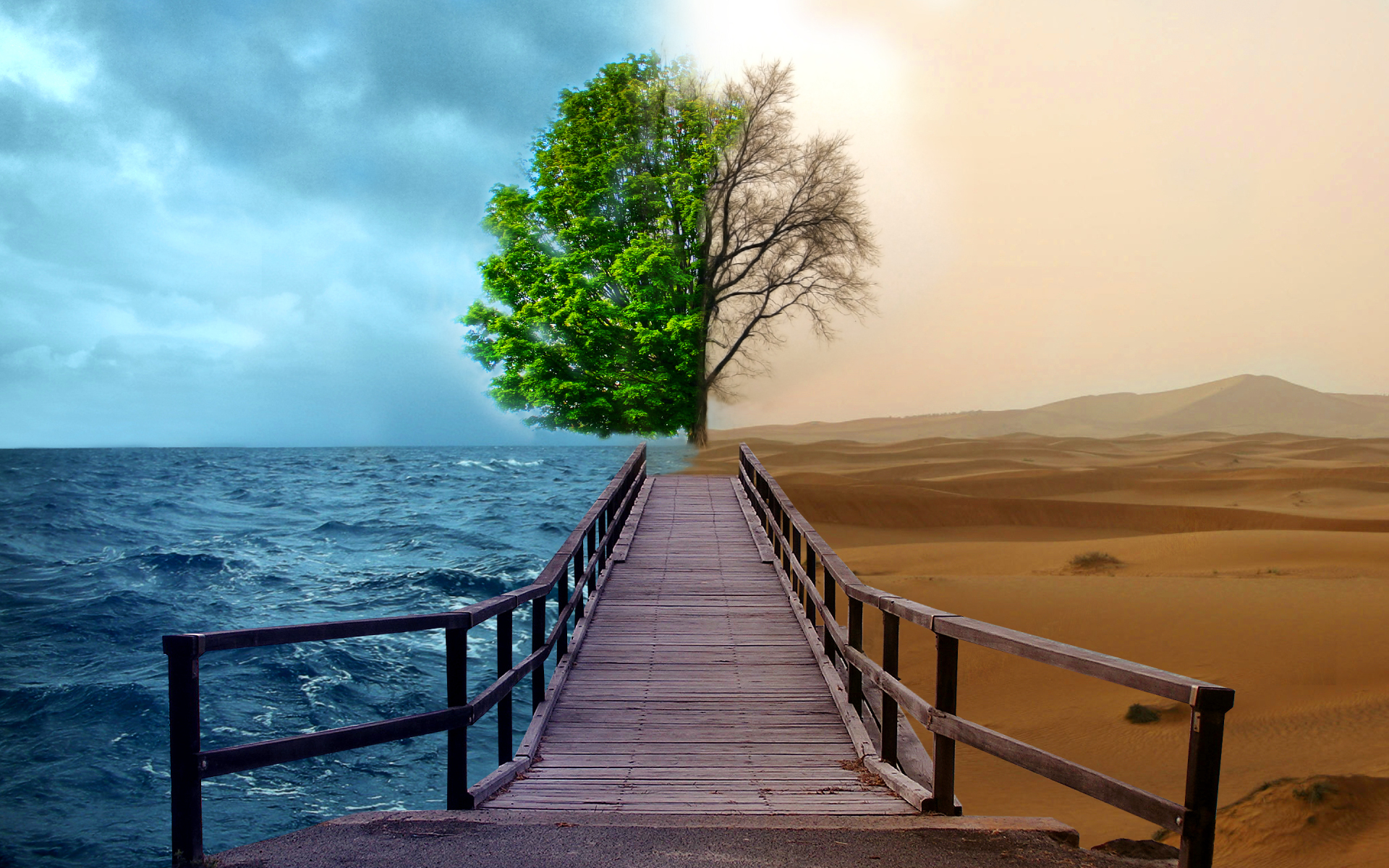 LAUDATO Si’  PER IL CREATO