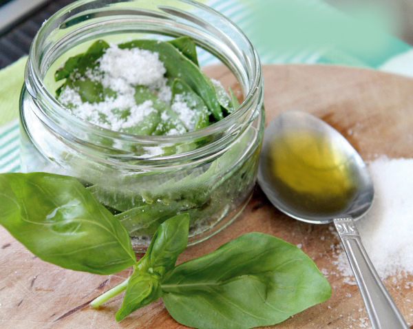 basilico