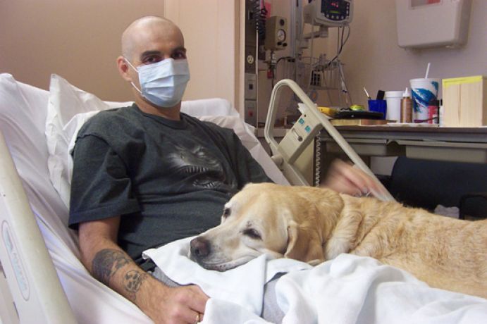 IL CANE IN CORSIA  aiuta a  guarire  prima