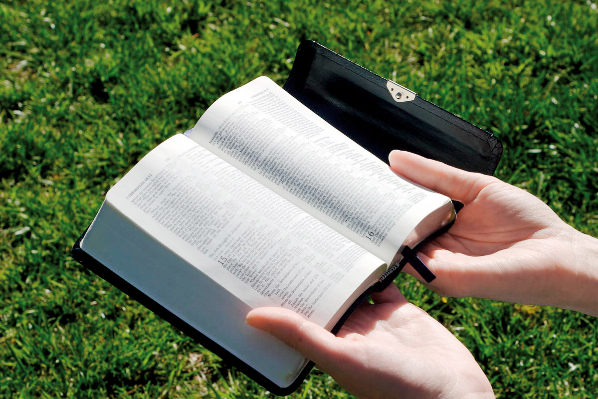 LA BIBBIA NELLE NOSTRE MANI