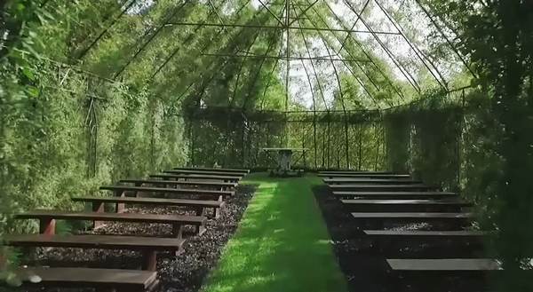 TREE CHURCH CHIESA VEGETALE
