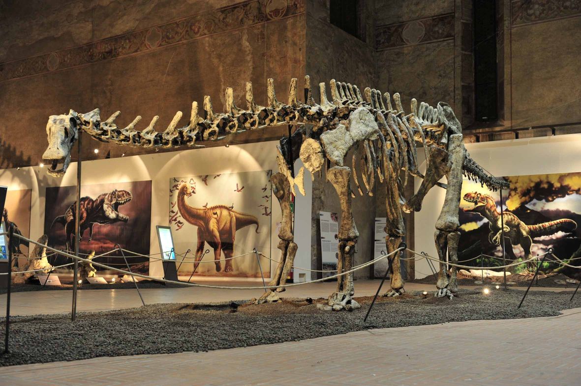 DINOSAURI A GUBBIO