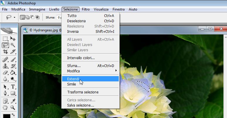 Photoshop