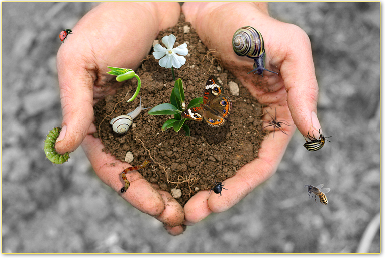 COLTIVIAMO BIODIVERSITÀ