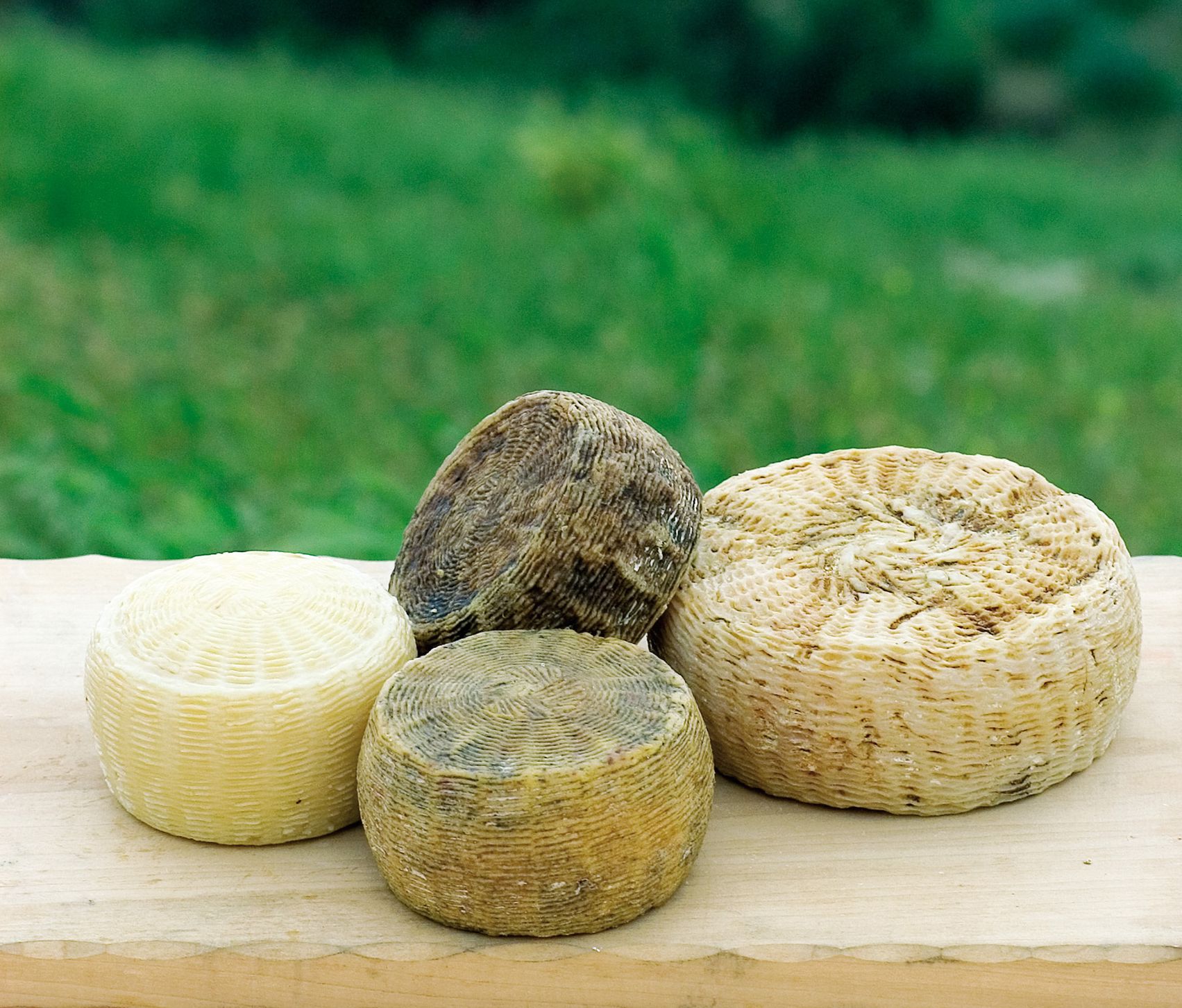 PECORINO CHE PASSIONE!