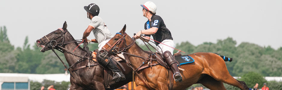 IL POLO