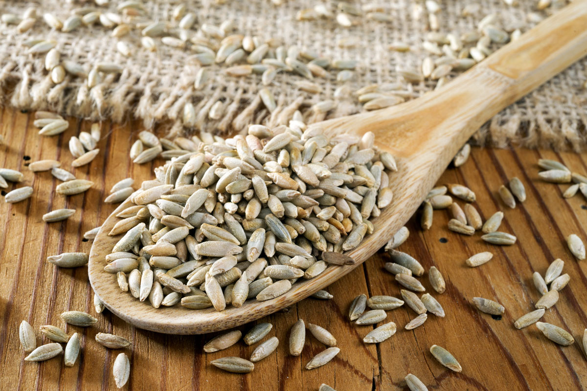 La segale e avena  per prevenire il diabete