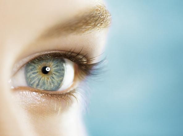 ALLO STUDIO LA RETINA ARTIFICIALE