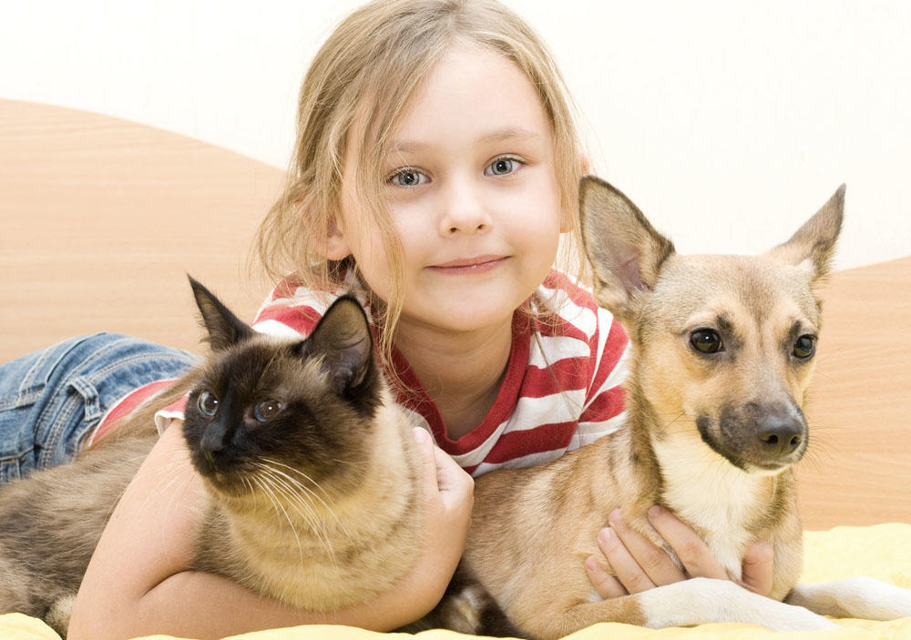 Gli animali da compagnia anti-stress