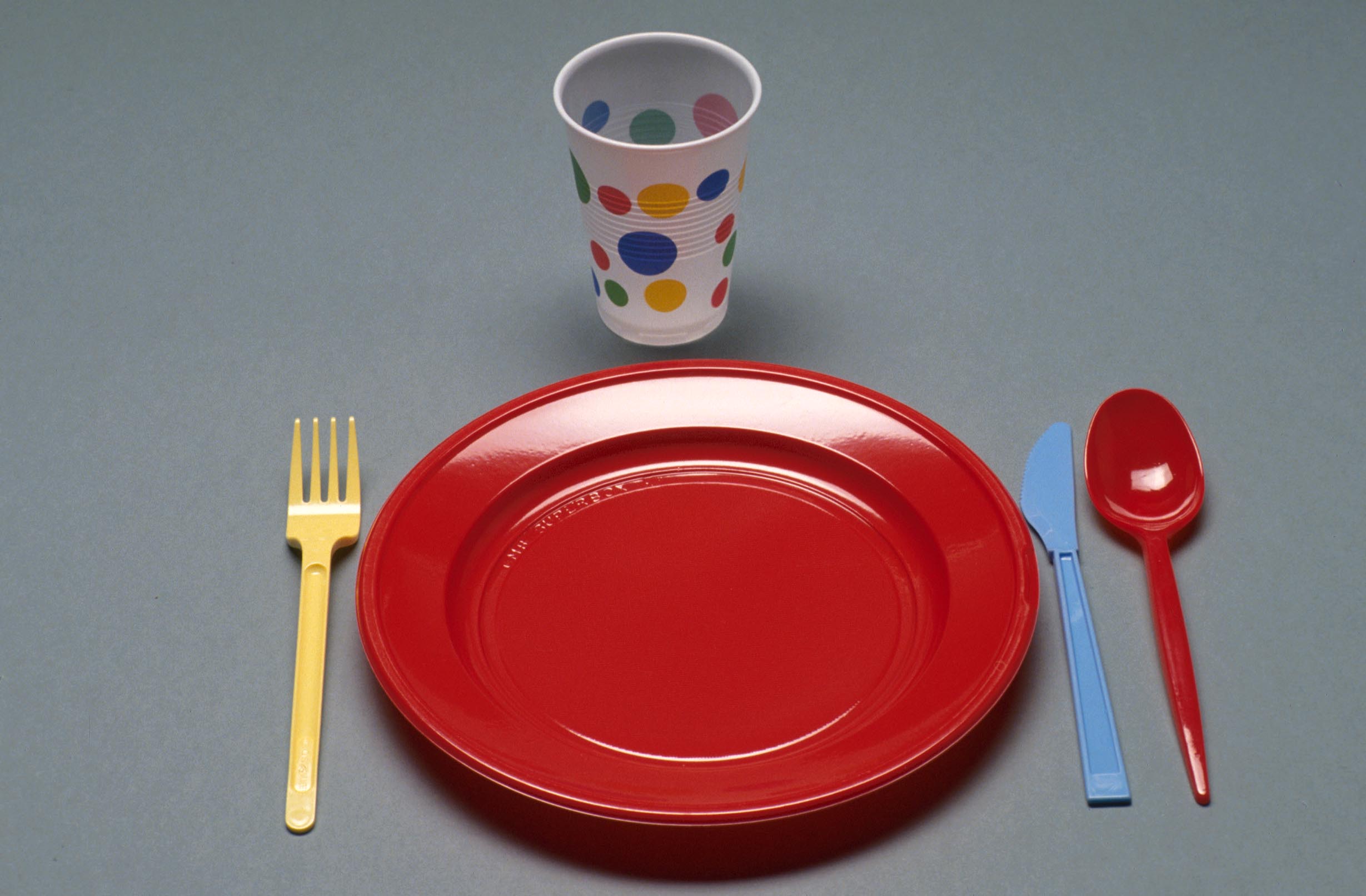 PIATTI E BICCHIERI  DI PLASTICA? MEGLIO BIO