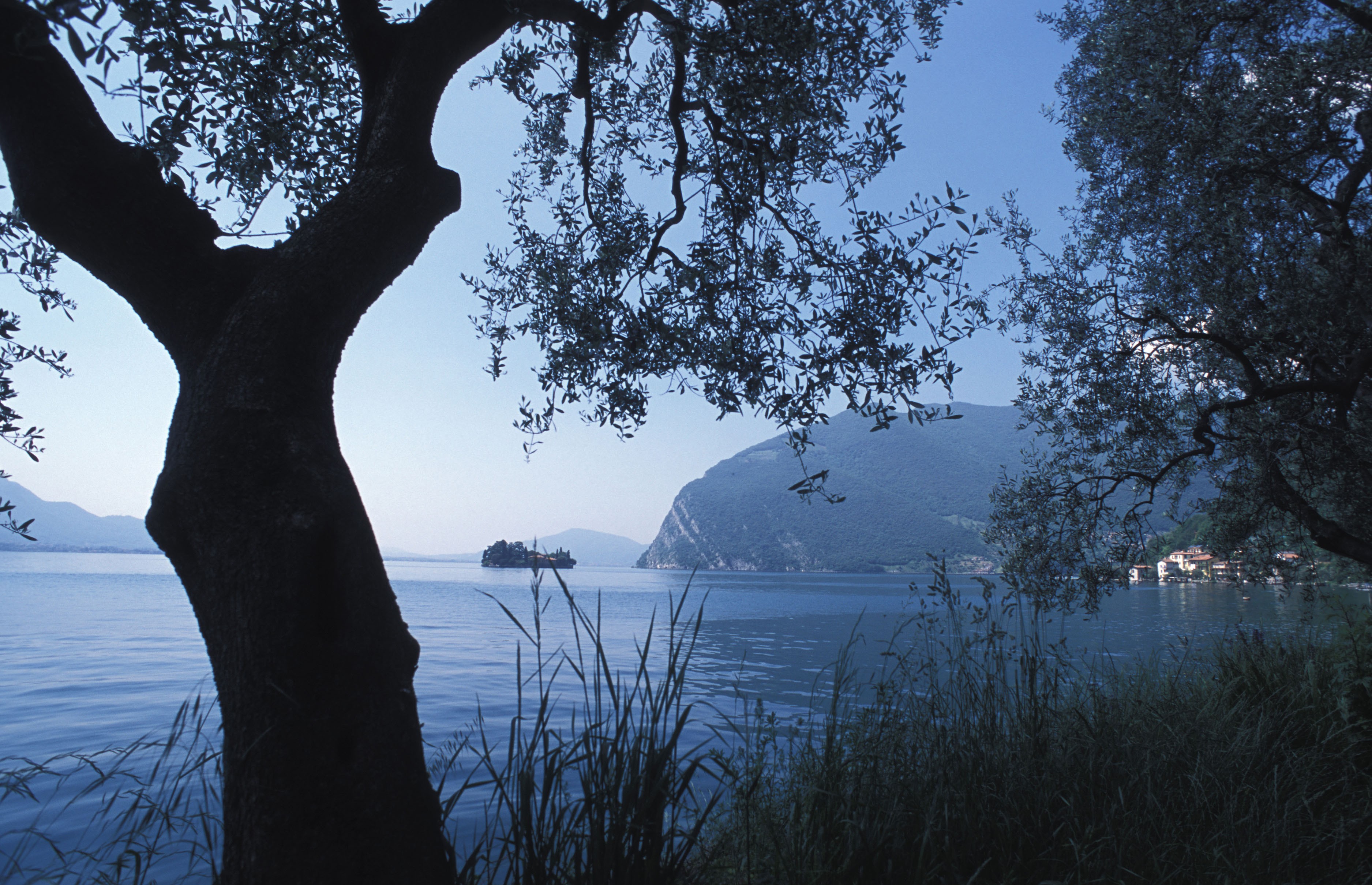 CROCE E DELIZIA DEL BELPAESE