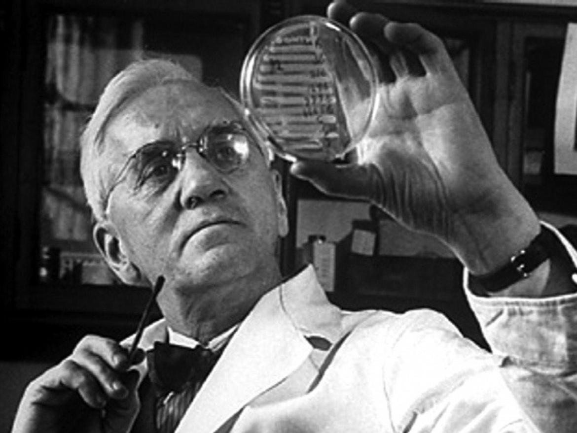 Learning English through… Antibiotics