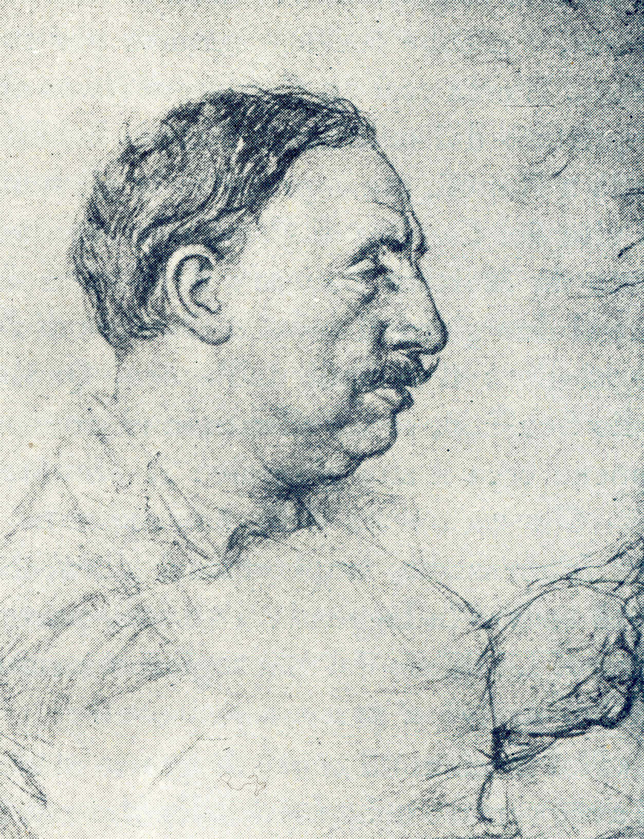 NICOLA SCARFOGLIO ﻿