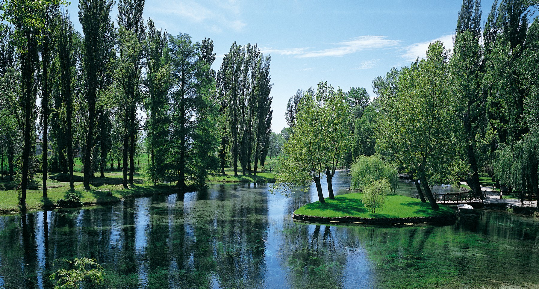 INVESTIRE NEL FONDO FORESTALE