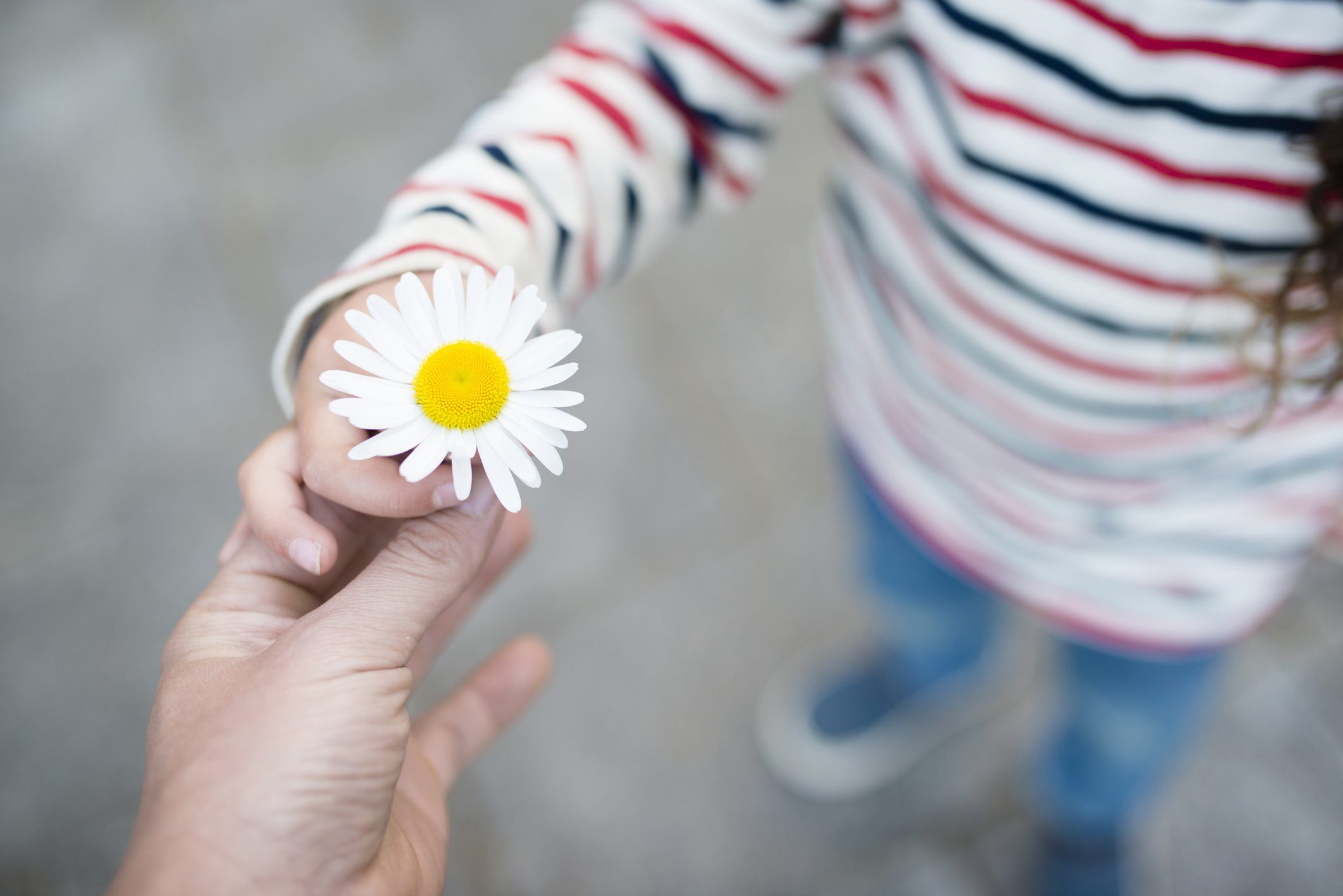 È COSì  DIFFICILE DIRE GRAZIE?