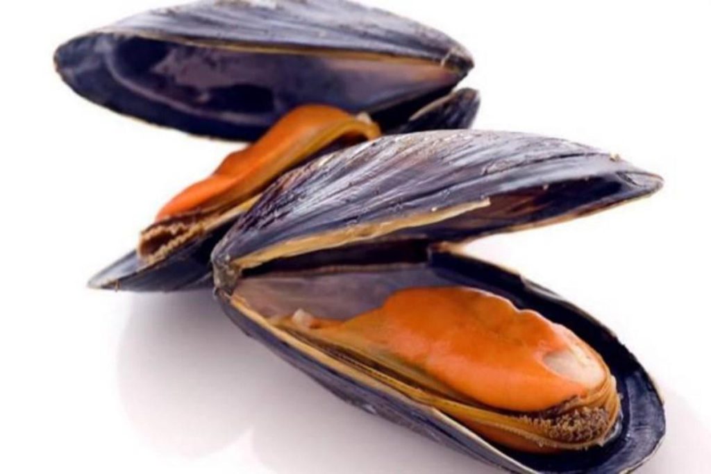 COZZE