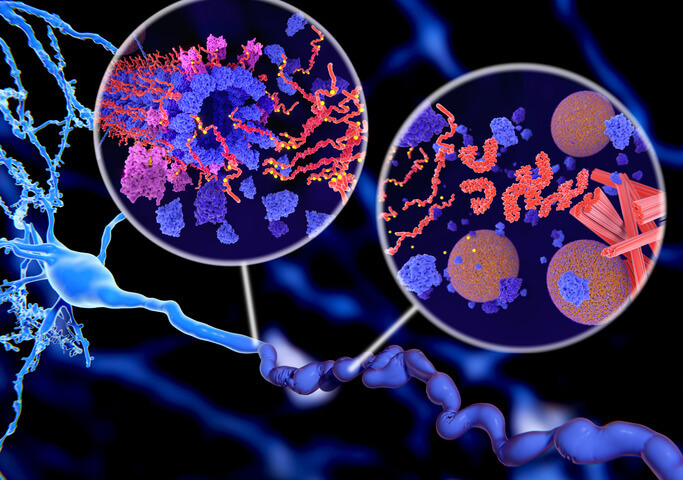 NUOVE STRATEGIE CONTRO LE MALATTIE NEURODEGENERATIVE