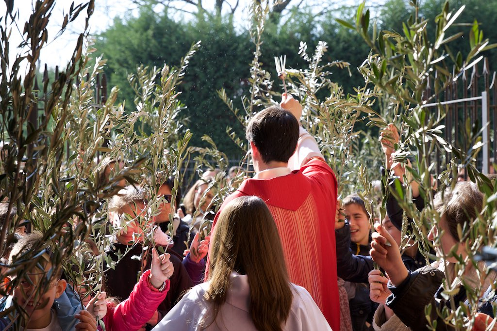 LA FESTA DEL MESE: DOMENICA DELLE PALME