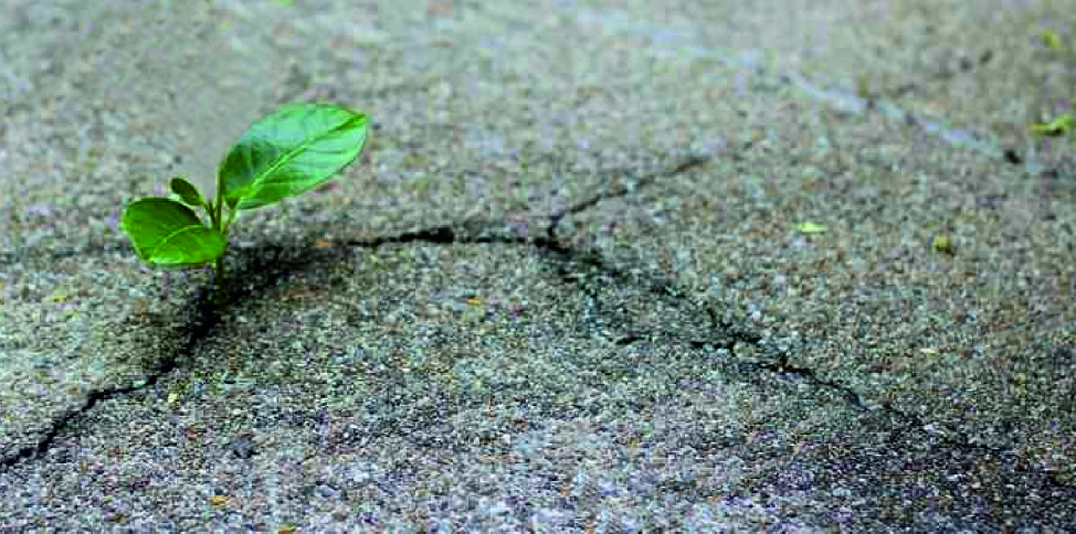RIPRESA E RESILIENZA
