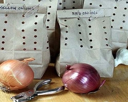 AGLIO E CIPOLLA