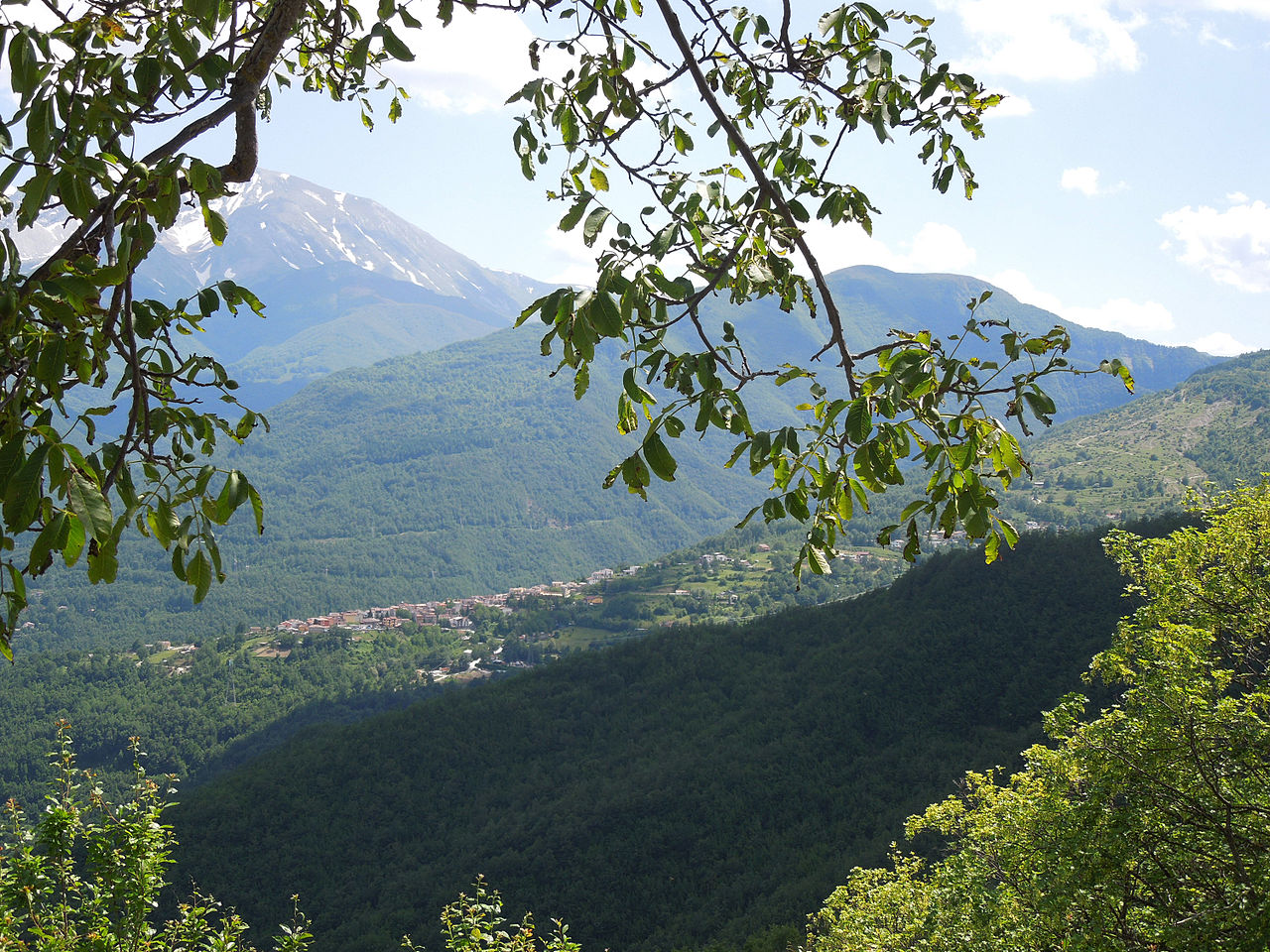 ADDIO MONTI…