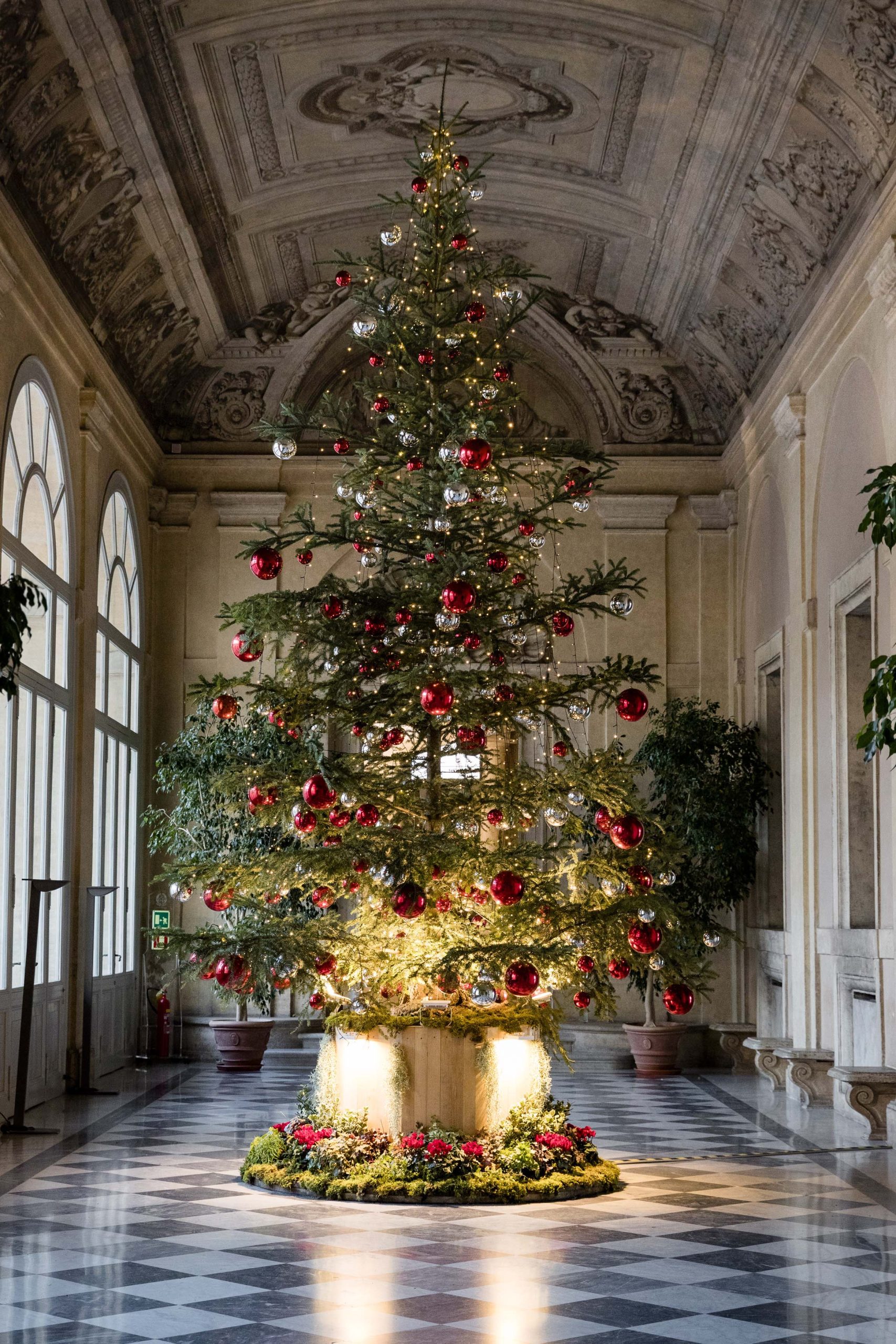 IL NATALE DEGLI ALBERI