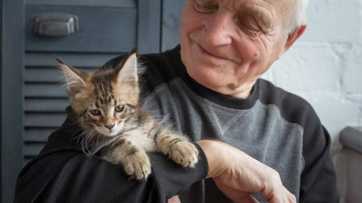 GATTO, SEGRETO DI LONGEVITÀ
