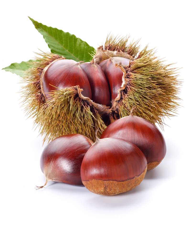 CASTAGNE.