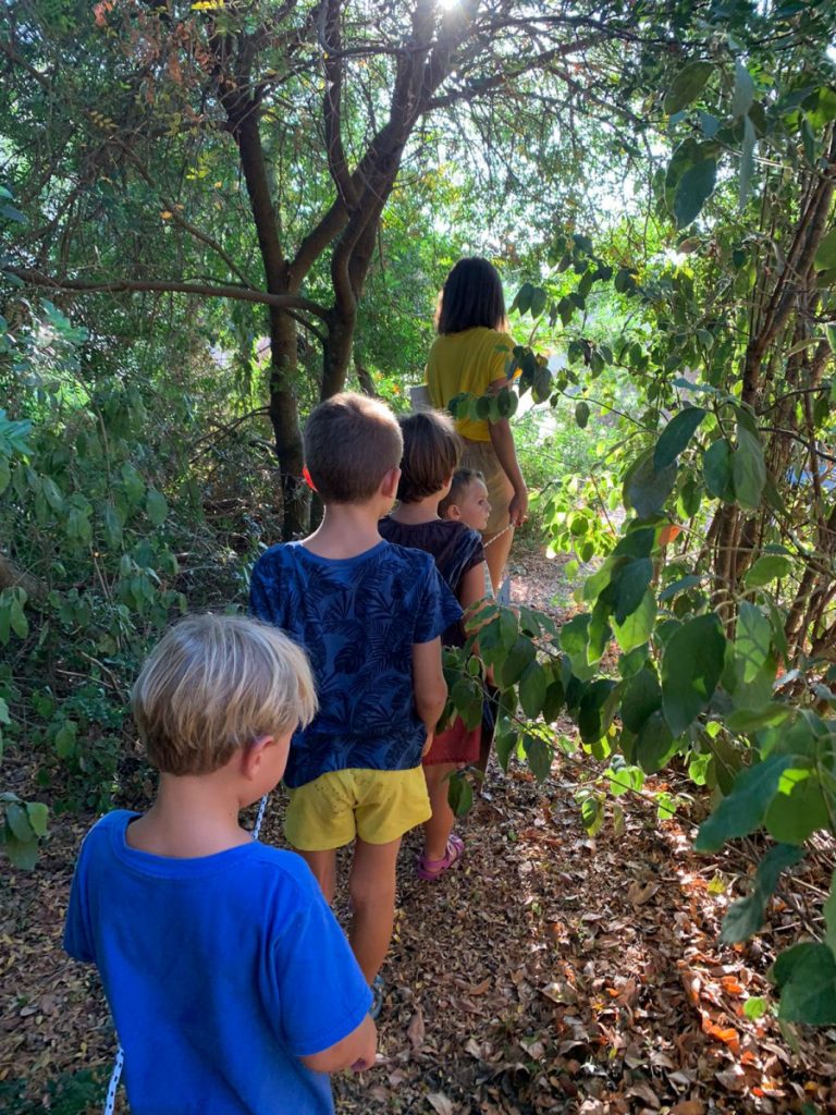 “PASSEGGIANDO NELL’AMBIENTE”