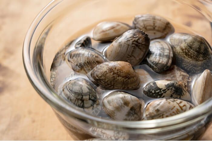 VONGOLE.
