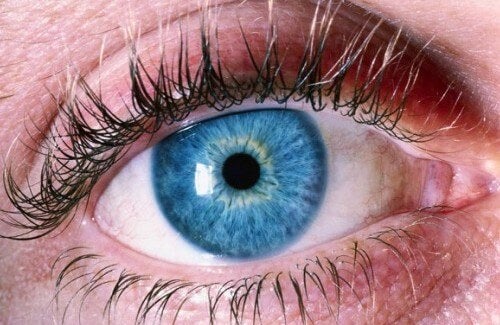 L’ALZHEIMER SI “LEGGE” NELLA RETINA DELL’OCCHIO