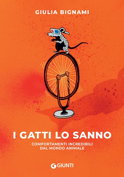 I GATTI LO SANNO