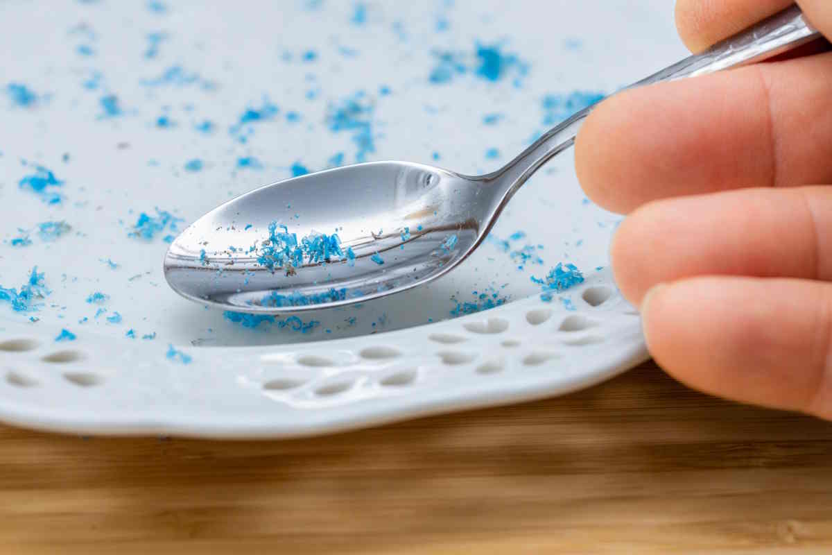 MICROPLASTICHE NEL PIATTO